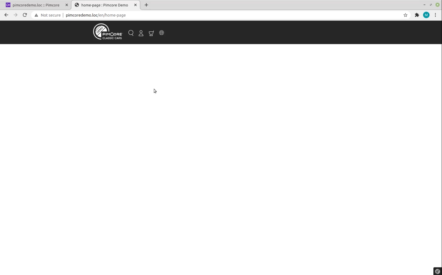 Preview of blank landing page in Pimcore